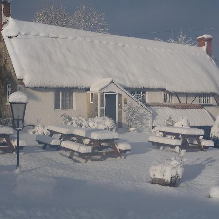 Compasses Inn Tisbury Eksteriør billede